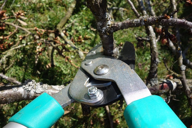 elektrische Baumschere