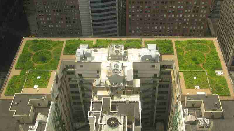 Green roofs to provide cooling in cities, tags: und soziale gerechtigkeit - CC BY-SA