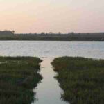 Bolsa Chica Wetland Reserves, tags: und biodiversität - CC BY-SA