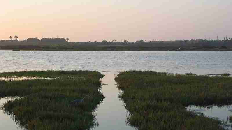 Bolsa Chica Wetland Reserves, tags: und biodiversität - CC BY-SA