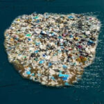 Das allgegenwärtige Problem der Plastikverschmutzung und ihre ökologischen Folgen